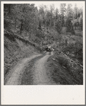 Bringing in load of logs late in the afternoon from the woods to the mill over road three miles long which members built with pick and shovel. Ola self-help co-op farm, Gem County, Idaho. See general caption 48