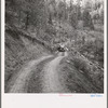 Bringing in load of logs late in the afternoon from the woods to the mill over road three miles long which members built with pick and shovel. Ola self-help co-op farm, Gem County, Idaho. See general caption 48
