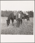 Basque sheep herder who speaks broken English coming down from summer camp with pack animals. Adams County, Idaho