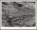 Looking down on Ola self-help co-op mill showing the upper end of Squaw Creek Valley, the creek lined with trees, the new dry shed near the mill, homes of co-op members and cultivated surrounding fields. Gem County, Idaho