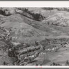 Looking down on Ola self-help co-op mill showing the upper end of Squaw Creek Valley, the creek lined with trees, the new dry shed near the mill, homes of co-op members and cultivated surrounding fields. Gem County, Idaho