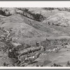 Looking down on Ola self-help co-op mill showing the upper end of Squaw Creek Valley, the creek lined with trees, the new dry shed near the mill, homes of co-op members and cultivated surrounding fields. Gem County, Idaho