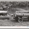 Members of Ola self-help sawmill co-op snaking a fir log down to the truck. Gem County, Idaho. General caption 48