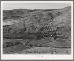 The Carlock farmstead. Mr. Carlock is a member of Ola self-help sawmill co-op. Gem County, Idaho. General caption 48