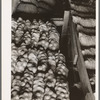 Fifty-pound bags of onions in storage shed, ready for market. Malheur County, Oregon