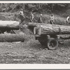 Members of Ola self-help sawmill co-op rolling white fir log to lumber truck with peavies. Hooked and spiked sticks used as levers. Gem County, Idaho. General caption 48