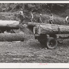 Members of Ola self-help sawmill co-op rolling white fir log to lumber truck with peavies. Hooked and spiked sticks used as levers. Gem County, Idaho. General caption 48