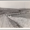 Entering Cow Hollow region in which practically all are FSA (Farm Security Administration) borrowers. These are farmers who had a late start. Malheur County, Oregon. General caption 66
