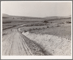 Entering Cow Hollow region in which practically all are FSA (Farm Security Administration) borrowers. These are farmers who had a late start. Malheur County, Oregon. General caption 66