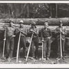 Five Idaho farmers, members of Ola self-help sawmill co-op, in the woods standing against a load of logs ready to go down to their mill about three miles away. Gem County, Idaho. General caption 48