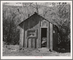 Home of one member of Ola self-help sawmill co-op, Gem County, Idaho. "She likes to sit in the door and watch the geese." General caption 48