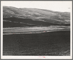 Newly-plowed fields on land belonging to member of Ola self-help sawmill co-op. Gem County, Idaho. General caption 48