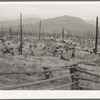 Stumps and sags on uncleared land. Priest River country, Bonner County, Idaho. General caption 49