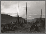 View of the Halley farm. Priest River Peninsula. Bonner County, Idaho