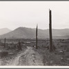 Landscape: stumps, sags, and stump farm in Priest River Valley. Bonner County, Idaho. General caption 49