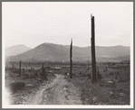 Landscape: stumps, sags, and stump farm in Priest River Valley. Bonner County, Idaho. General caption 49