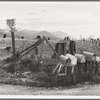 Crossroads off the highway in cut-over area. Boundary County, Idaho. General caption 49