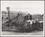 Crossroads off the highway in cut-over area. Boundary County, Idaho. General caption 49