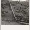 Fencing on new farms in cut-over area. Priest River Valley, Bonner County, Idaho. See general caption 49
