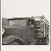 Stump farmer bringing load of slab wood to sell in town. Bonner County, Idaho. See general caption 49