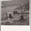 Fenced pasture on cut-over farm. Priest River Valley, Bonner County, Idaho. See general caption 49