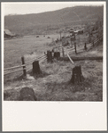 Fenced pasture on cut-over farm. Priest River Valley, Bonner County, Idaho. See general caption 49
