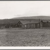 Partly-developed stump ranch seen across cleared grain field. Boundary County, Idaho. See general caption 52