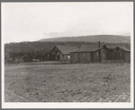 Partly-developed stump ranch seen across cleared grain field. Boundary County, Idaho. See general caption 52