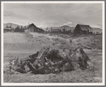 Stump pile, ready to burn, house, barn, and farm buildings on Unruf farm. Boundary County, Idaho. See general caption 52
