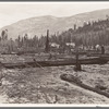 New farm home. Note second growth timber and portion of their uncleared land. Boundary County, Idaho. See general caption 49