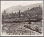 New farm home. Note second growth timber and portion of their uncleared land. Boundary County, Idaho. See general caption 49