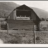 Log barn. FSA (Farm Security Administration) borrower plans to develop dairy ranch. Log home in background. Boundary County, Idaho. See general caption 56