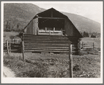 Log barn. FSA (Farm Security Administration) borrower plans to develop dairy ranch. Log home in background. Boundary County, Idaho. See general caption 56