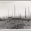 Home of the FSA (Farm Security Administration) borrower who moved on this land six years ago, built log house and buildings. Cut enough hay between the stumps to feed eight cows, three calves and two horses through the winter of 1938. Three hundred and fifteen dollar land-clearing loan. Priest River Peninsula, Bonner County, Idaho. See general caption 49