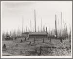 Home of the FSA (Farm Security Administration) borrower who moved on this land six years ago, built log house and buildings. Cut enough hay between the stumps to feed eight cows, three calves and two horses through the winter of 1938. Three hundred and fifteen dollar land-clearing loan. Priest River Peninsula, Bonner County, Idaho. See general caption 49