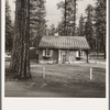 Type house in model lumber company town for millworkers. Gilchrist, Oregon. See general caption 76