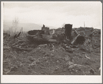 New settlers shack at foot of hills on poor sandy soil. Boundary County, Idaho. See general caption 49