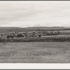 View of first FSA (Farm Security Administration) mobile camp unit in Klamath Basin, Oregon. See general caption 62