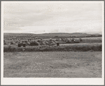 View of first FSA (Farm Security Administration) mobile camp unit in Klamath Basin, Oregon. See general caption 62