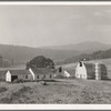 Unit no. 32 of Yamhill farms, Oregon: sewage disposal, electrification, twelve-cow dairy barn, silo under construction and five-room house. See general captions 57