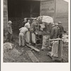 Grading potatoes, preparing for shipment, cold, rainy morning, end of harvesting season. Potatoes have been stored in this grower's cellar. Ten miles south of Merrill, Klamath County, Oregon