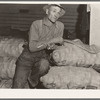 Klamath Basin potato farmer. He remembers when the first carload of potatoes left this valley in 1910. In 1934 he lost thirty-five hundred dollars on forty-eight acres of potatoes. His present acreage is eleven acres in potatoes, the rest in hay and soil-building crops. Has eleven milking cows. "I'm gonna eat."