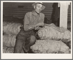 Klamath Basin potato farmer. He remembers when the first carload of potatoes left this valley in 1910. In 1934 he lost thirty-five hundred dollars on forty-eight acres of potatoes. His present acreage is eleven acres in potatoes, the rest in hay and soil-building crops. Has eleven milking cows. "I'm gonna eat."