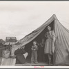 This family came to the potato harvest after the Oregon hop harvest. In FSA (Farm Security Administration) camp unit. Merrill, Klamath County, Oregon