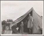 This family came to the potato harvest after the Oregon hop harvest. In FSA (Farm Security Administration) camp unit. Merrill, Klamath County, Oregon