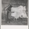 Method of scraping hide for softening. Indian fishing village. Oregon