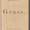 Leaves of grass