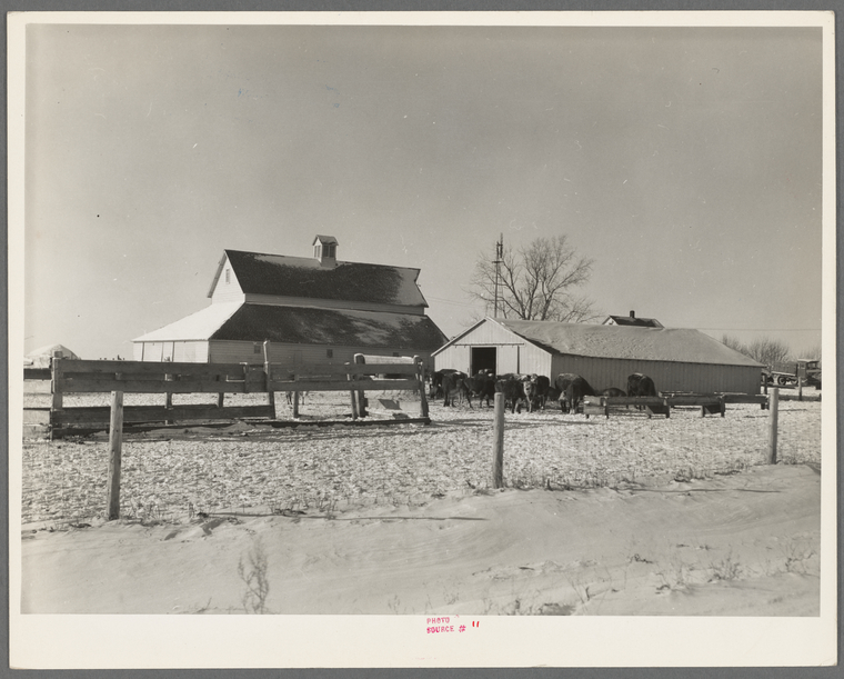 Some of the farm buildings of owneroperated farm. Three hundred and sixty acres owned by Harry