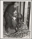 W.H. Cox shelling corn in crib for his chickens. Clearcreek Township, Johnson County, Iowa