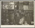 Auctioning livestock at Sales Hall, Ames, Iowa. These sales are very frequent throughout Iowa and Illinois